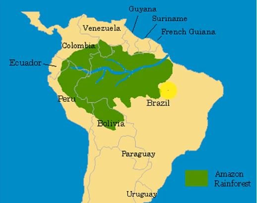 Countries under amazon rainforest